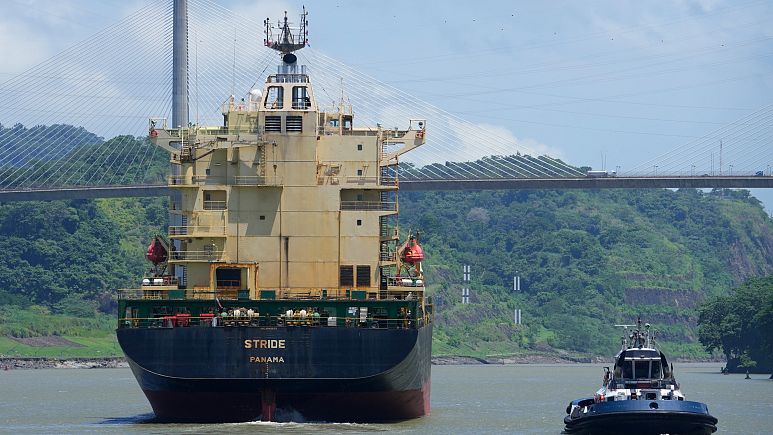 Panama Canal's vital trade route at risk amid persistent drought and revenue drop